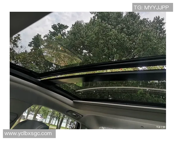 上海与武汉极限运动队赛后复盘分析灵活性表现与战术对比