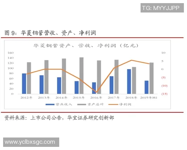 杭州飞盘队整体表现分析：优势与不足的深度探讨