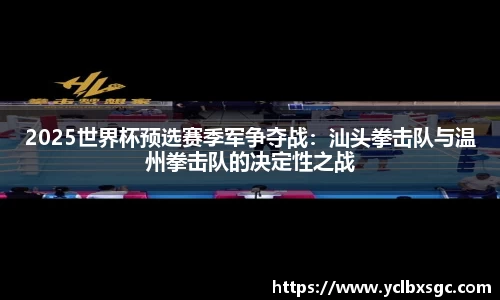 2025世界杯预选赛季军争夺战：汕头拳击队与温州拳击队的决定性之战