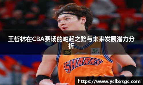 k1体育官方网站